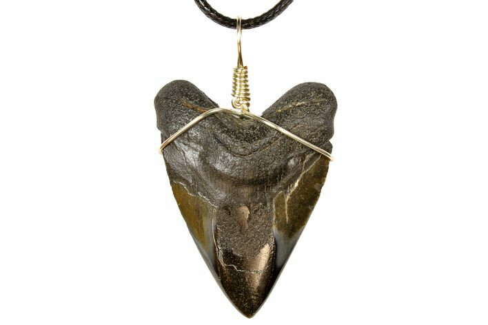 Fossil Megalodon Tooth Necklace #130925
